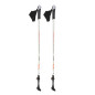 NW106 carbon kije nordic walking nils