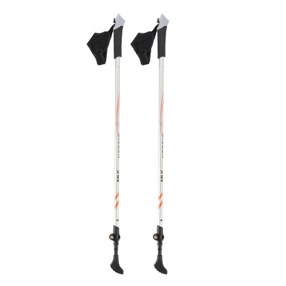 NW106 carbon kije nordic walking nils