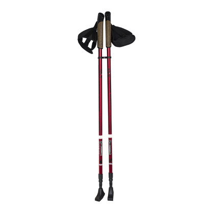 NW802 kije nordic walking nils