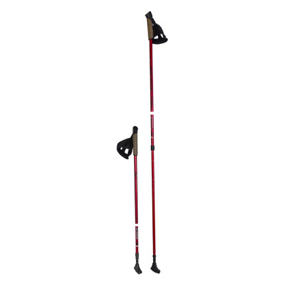 NW802 kije nordic walking nils