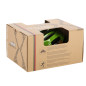 MTW01 led zielony rozm. xxs (42-48 cm) kask nils extreme
