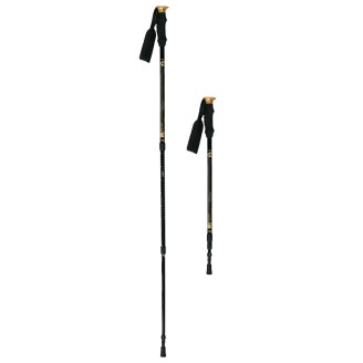 NW-TK19 kije trekking/nordic walking 50% carbon nils