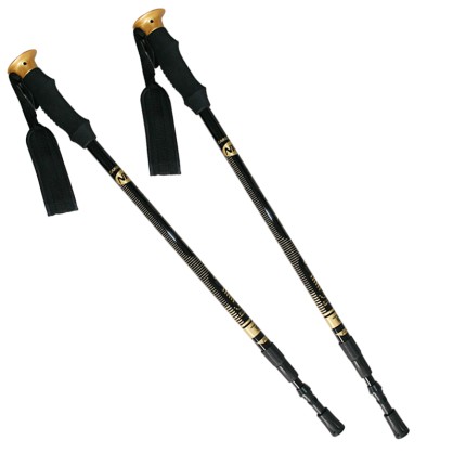 NW-TK19 kije trekking/nordic walking 50% carbon nils