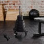TPC SET ZESTAW TALERZY OLIMPIJSKICH POLIURETANOWYCH 2 x 2.5 - 25 KG CPU - 155KG HMS TPC SET ZESTAW TALERZY OLIMPIJSKICH POLIURETANOWYCH 2 x 2.5 - 25 KG CPU - 155KG HMS